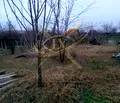 Снимка 4 — Парцел в Бургас, Банево