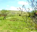 Снимка 2 — Парцел в Бургас, Рудник