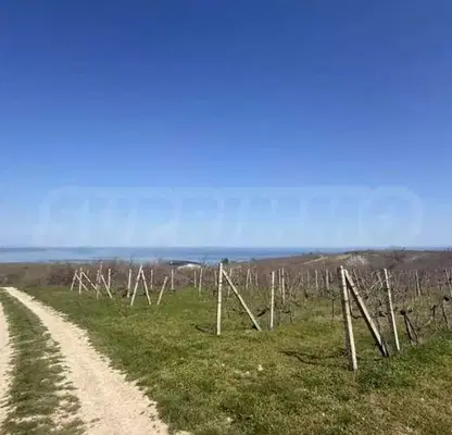 Photo 2 — Plot in Oblast Varna, Byala
