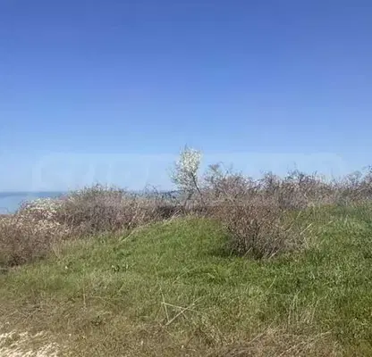 Photo 3 — Plot in Oblast Varna, Byala
