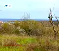 Снимка 2 — Парцел в Бургас, Царево