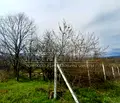 Снимка 5 — Парцел в Бургас, Царево