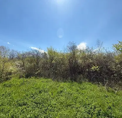 Photo 2 — Plot in Oblast Burgas, Carevo