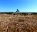 Снимка 3 — Парцел в Бургас, Черноморец