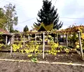 Снимка 3 — Парцел в Добрич, м-т Газибаба