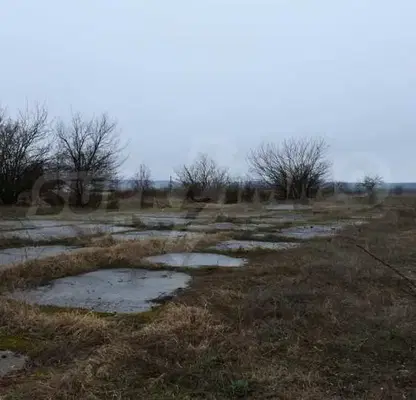 Photo 2 — Plot in Oblast Vidin, Dunavci