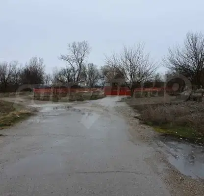 Photo 3 — Plot in Oblast Vidin, Dunavci