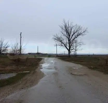 Photo 4 — Plot in Oblast Vidin, Dunavci