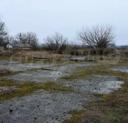 Photo 5 — Plot in Oblast Vidin, Dunavci