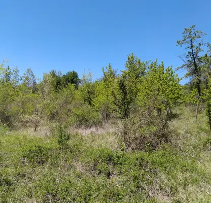 Photo 3 — Plot in Oblast Kyustendil, Dupnica