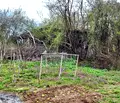 Снимка 2 — Парцел във Велико Търново, Елена