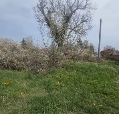Photo 2 — Plot in област София, Elin Pelin