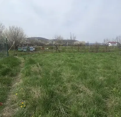 Photo 4 — Plot in област София, Elin Pelin