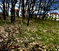Снимка 5 — Парцел в Габрово, Русевци