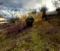 Снимка 4 — Парцел в к.к. Златни пясъци