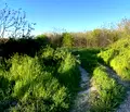 Снимка 4 — Парцел във Враца, Козлодуй