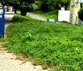 Снимка 3 — Парцел в Кърджали, Център