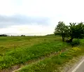 Снимка 5 — Парцел в Монтана, Кошарник
