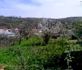 Снимка 3 — Парцел в Монтана, Мала Кутловица