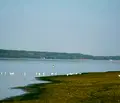 Снимка 5 — Парцел във Враца, Оряхово