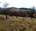 Снимка 2 — Парцел в Перник, Калкас