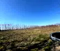 Снимка 5 — Парцел в Пловдив, Беломорски