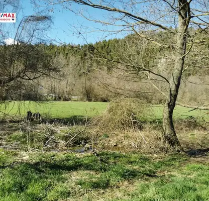 Снимка 5 — Парцел в Благоевград, Разлог