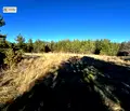 Снимка 5 — Парцел в Благоевград, Разлог