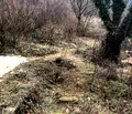 Снимка 2 — Парцел в Пловдив, с. Бачково