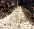 Снимка 4 — Парцел в Пловдив, с. Бачково