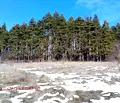 Снимка 3 — Парцел във Велико Търново, с. Бадевци