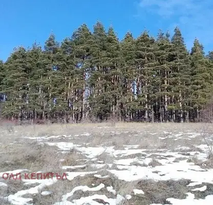 Photo 3 — Plot in Oblast Veliko Tyrnovo, Badevci