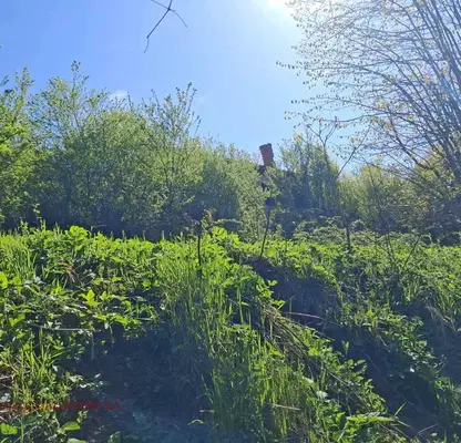 Photo 5 — Plot in Oblast Veliko Tyrnovo, Badevci