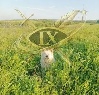 Снимка 4 — Парцел в Бургас, с. Баня