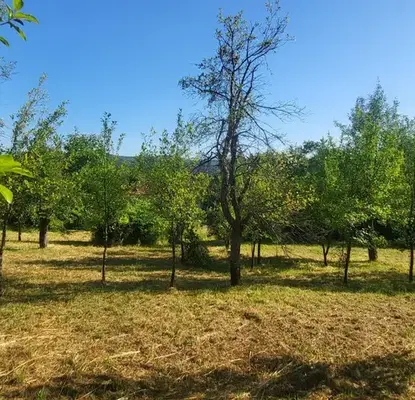 Photo 3 — Plot in Oblast Lovech, Belish