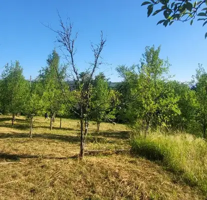 Photo 4 — Plot in Oblast Lovech, Belish