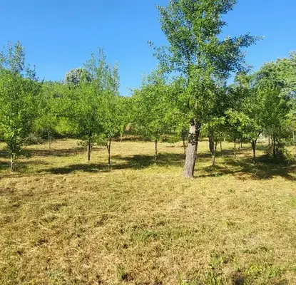 Photo 5 — Plot in Oblast Lovech, Belish