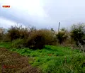 Снимка 3 — Парцел в Добрич, с. Безводица