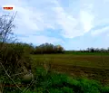 Снимка 4 — Парцел в Добрич, с. Безводица