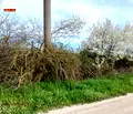 Снимка 5 — Парцел в Добрич, с. Безводица