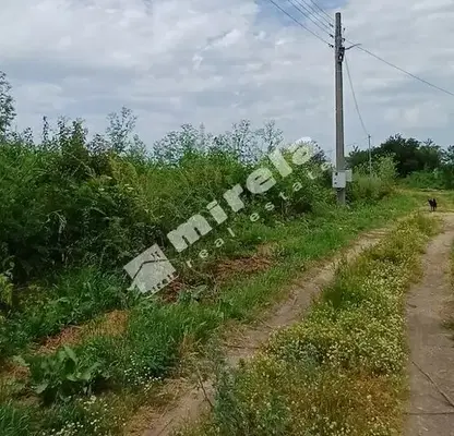 Снимка 2 — Парцел в Добрич, с. Безводица