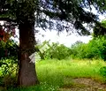 Снимка 4 — Парцел в Добрич, с. Безводица