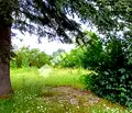 Снимка 5 — Парцел в Добрич, с. Безводица
