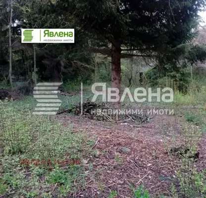 Photo 2 — Plot in Bistrica