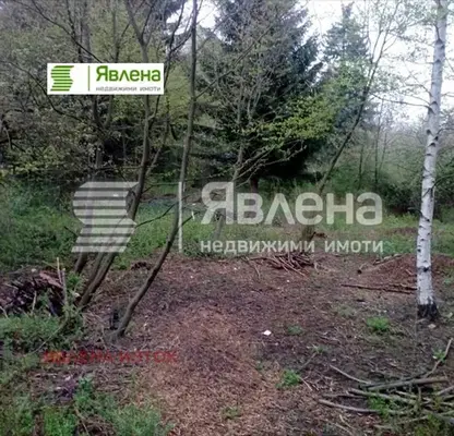 Photo 4 — Plot in Bistrica