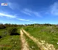 Снимка 2 — Парцел в Стара Загора, с. Богомилово