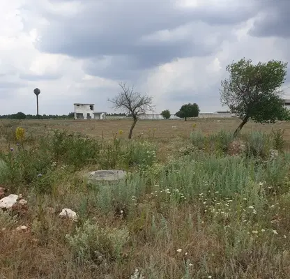 Снимка 5 — Парцел в Добрич, с. Божурец