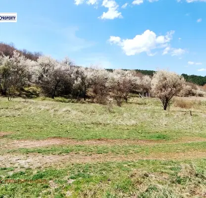 Photo 4 — Plot in Oblast Pernik, Bosnek