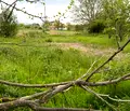 Снимка 4 — Парцел в Стара Загора, с. Братя Даскалови