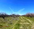 Снимка 3 — Парцел в Пловдив, с. Цалапица